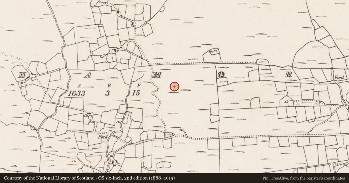 Ordnance Survey six-inch map, 2nd edition (1888–1915) covering the location of Enclosure, An Inse Mhór (TC Sliabh Riabhach), County Cork, with a pin at the register's coordinates
