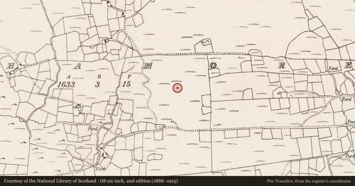 Ordnance Survey six-inch map, 2nd edition (1888–1915) covering the location of Enclosure, An Inse Mhór (TC Sliabh Riabhach), County Cork, with a pin at the register's coordinates