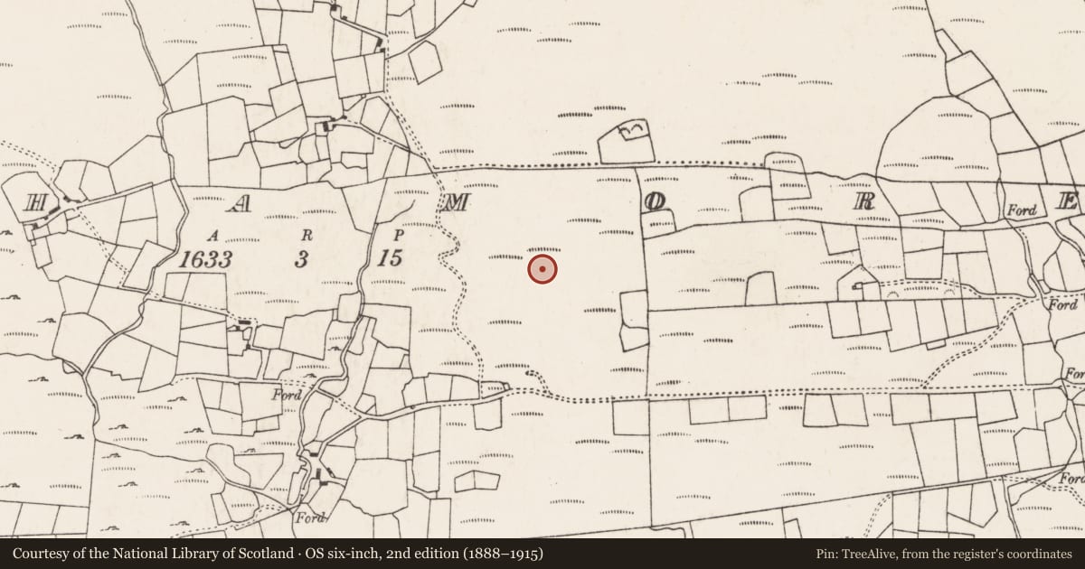 Ordnance Survey six-inch map, 2nd edition (1888–1915) covering the location of Hut site, An Inse Mhór (TC Sliabh Riabhach), County Cork, with a pin at the register's coordinates