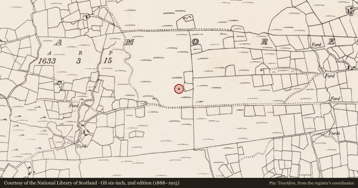 Ordnance Survey six-inch map, 2nd edition (1888–1915) covering the location of Fulacht fia, An Inse Mhór (TC Sliabh Riabhach), County Cork, with a pin at the register's coordinates