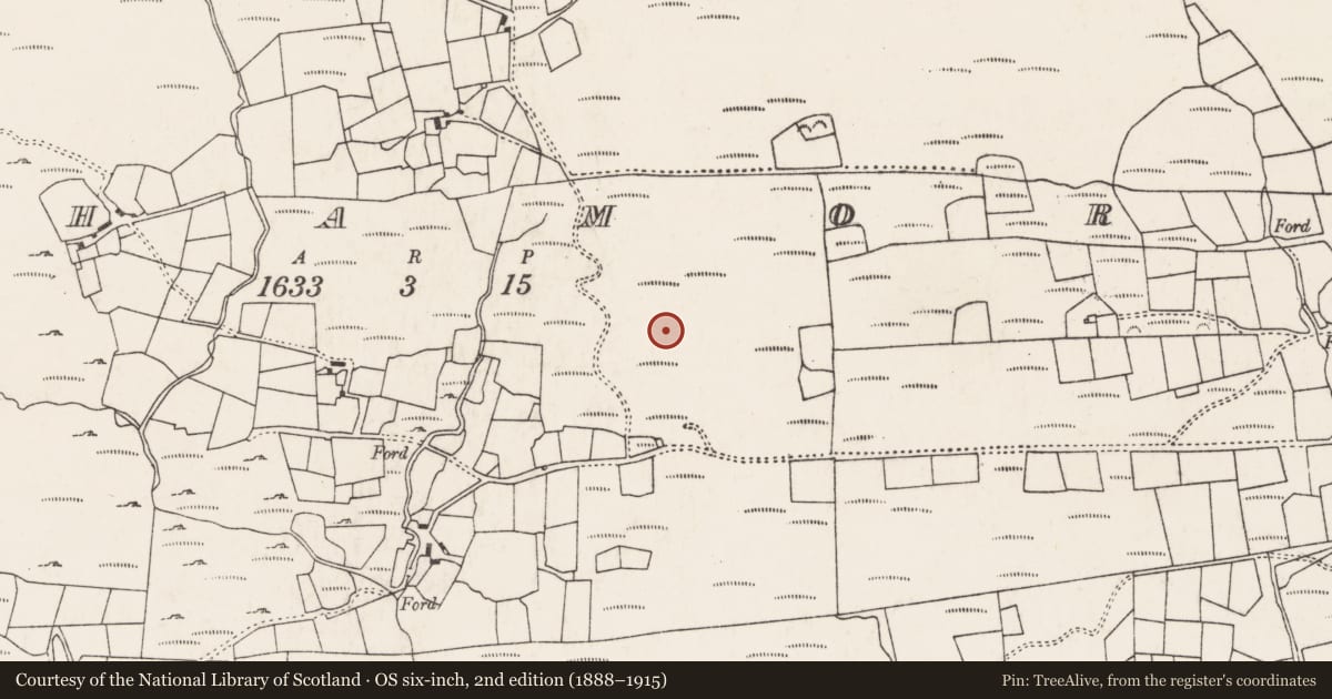 Ordnance Survey six-inch map, 2nd edition (1888–1915) covering the location of Hut site, An Inse Mhór (TC Sliabh Riabhach), County Cork, with a pin at the register's coordinates