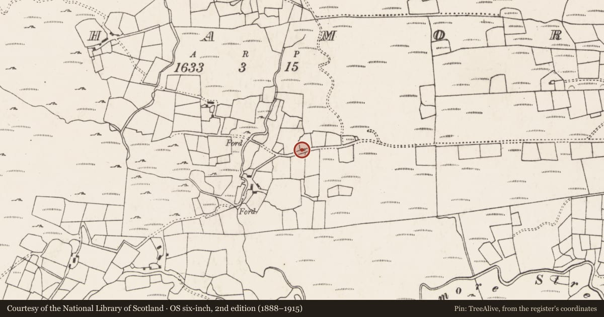 Ordnance Survey six-inch map, 2nd edition (1888–1915) covering the location of Ritual site - holy well, An Inse Mhór (TC Sliabh Riabhach), County Cork, with a pin at the register's coordinates