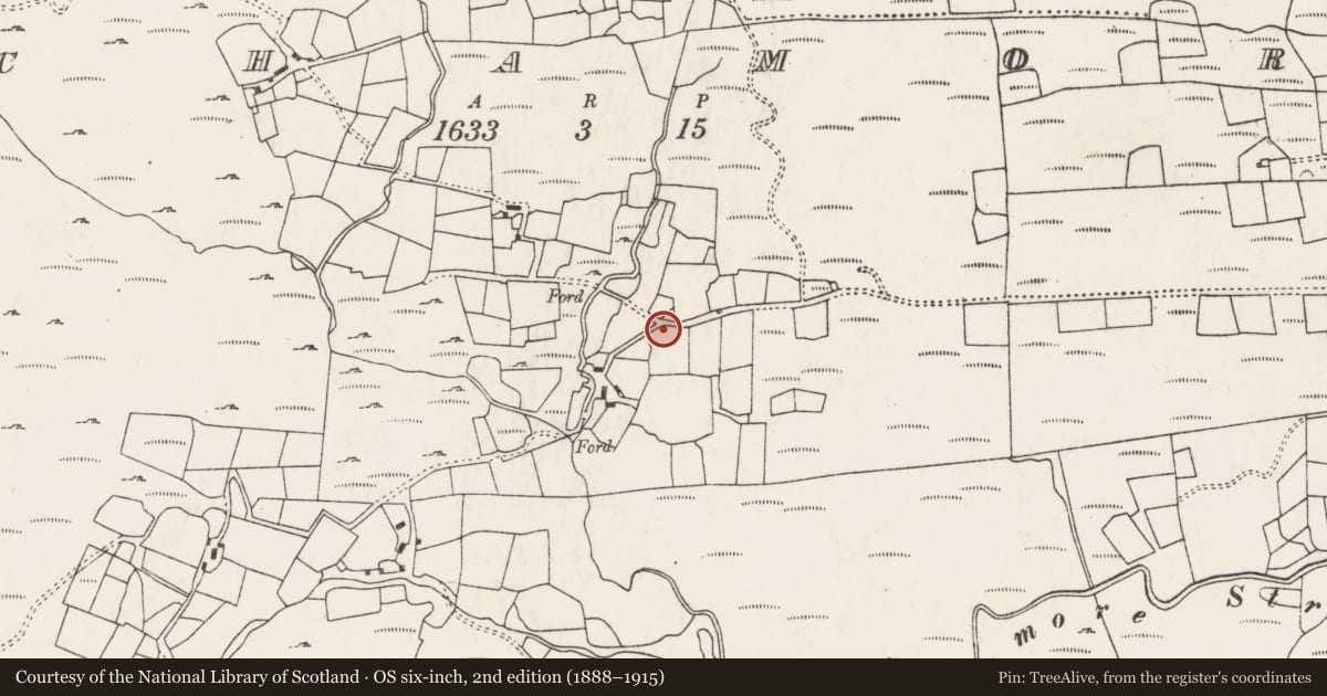 Ordnance Survey six-inch map, 2nd edition (1888–1915) covering the location of Kiln - lime, An Inse Mhór (TC Sliabh Riabhach), County Cork, with a pin at the register's coordinates