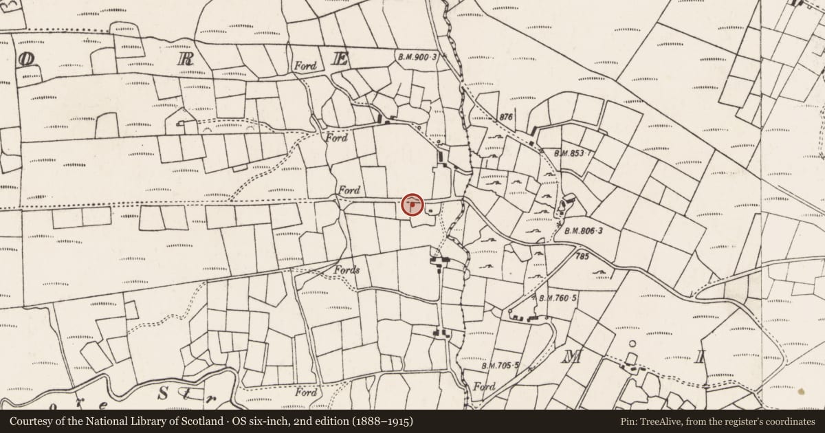 Ordnance Survey six-inch map, 2nd edition (1888–1915) covering the location of Kiln - lime, An Inse Mhór (TC Sliabh Riabhach), County Cork, with a pin at the register's coordinates