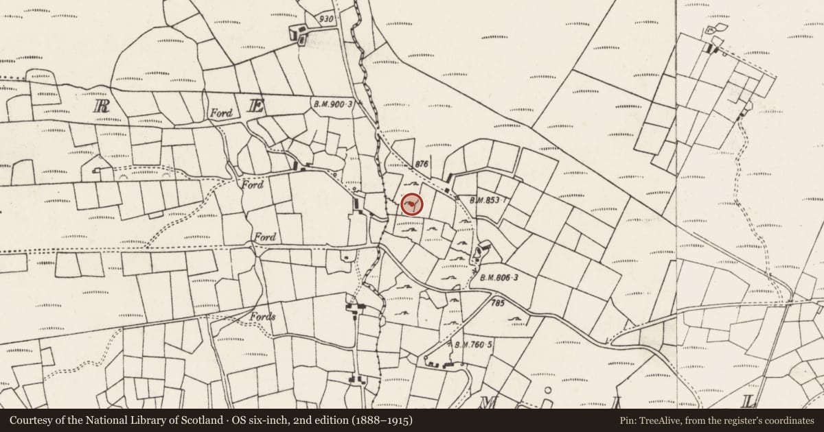Ordnance Survey six-inch map, 2nd edition (1888–1915) covering the location of Structure, Na Millíní, County Cork, with a pin at the register's coordinates