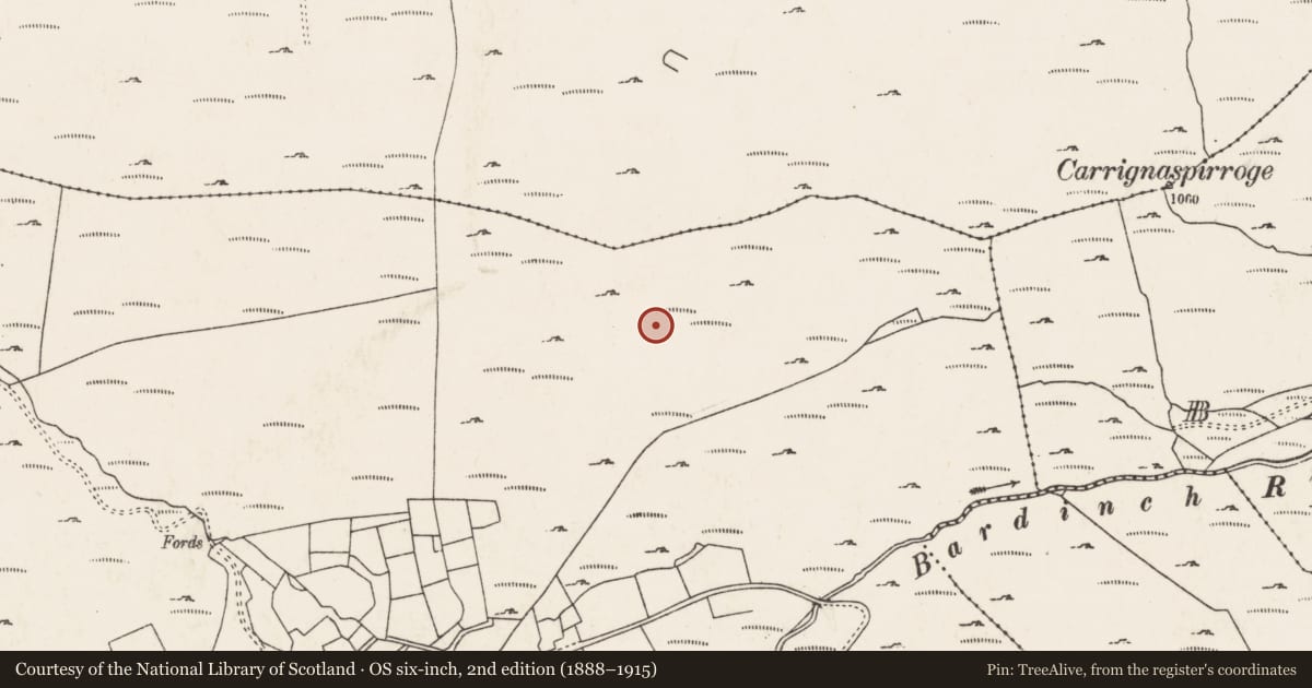 Ordnance Survey six-inch map, 2nd edition (1888–1915) covering the location of Hut site, Com Uí Chlúmháin, County Cork, with a pin at the register's coordinates