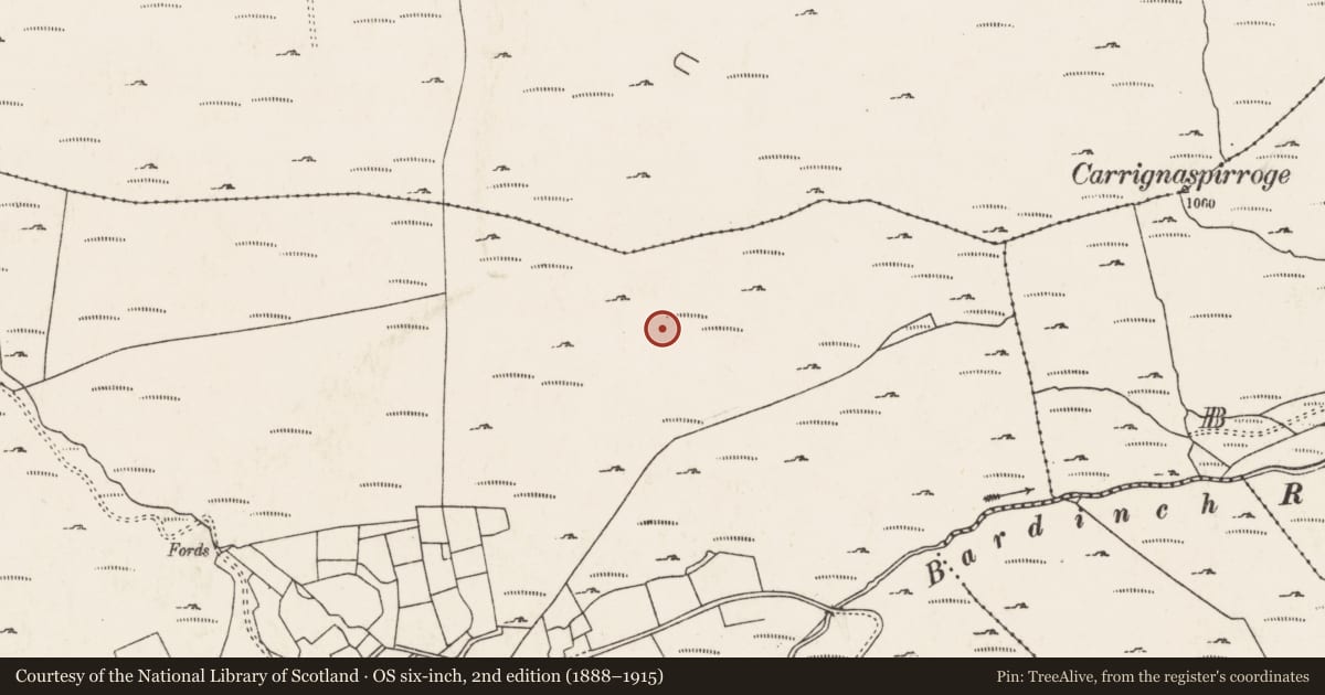 Ordnance Survey six-inch map, 2nd edition (1888–1915) covering the location of Hut site, Com Uí Chlúmháin, County Cork, with a pin at the register's coordinates