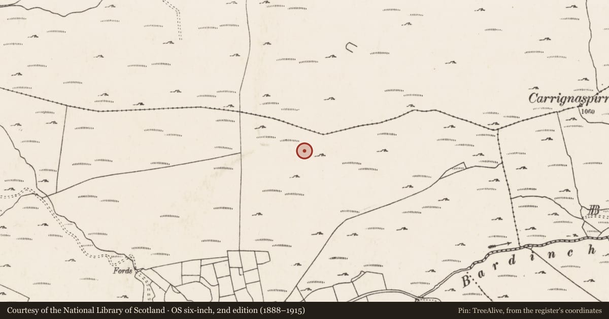 Ordnance Survey six-inch map, 2nd edition (1888–1915) covering the location of Hut site, Com Uí Chlúmháin, County Cork, with a pin at the register's coordinates