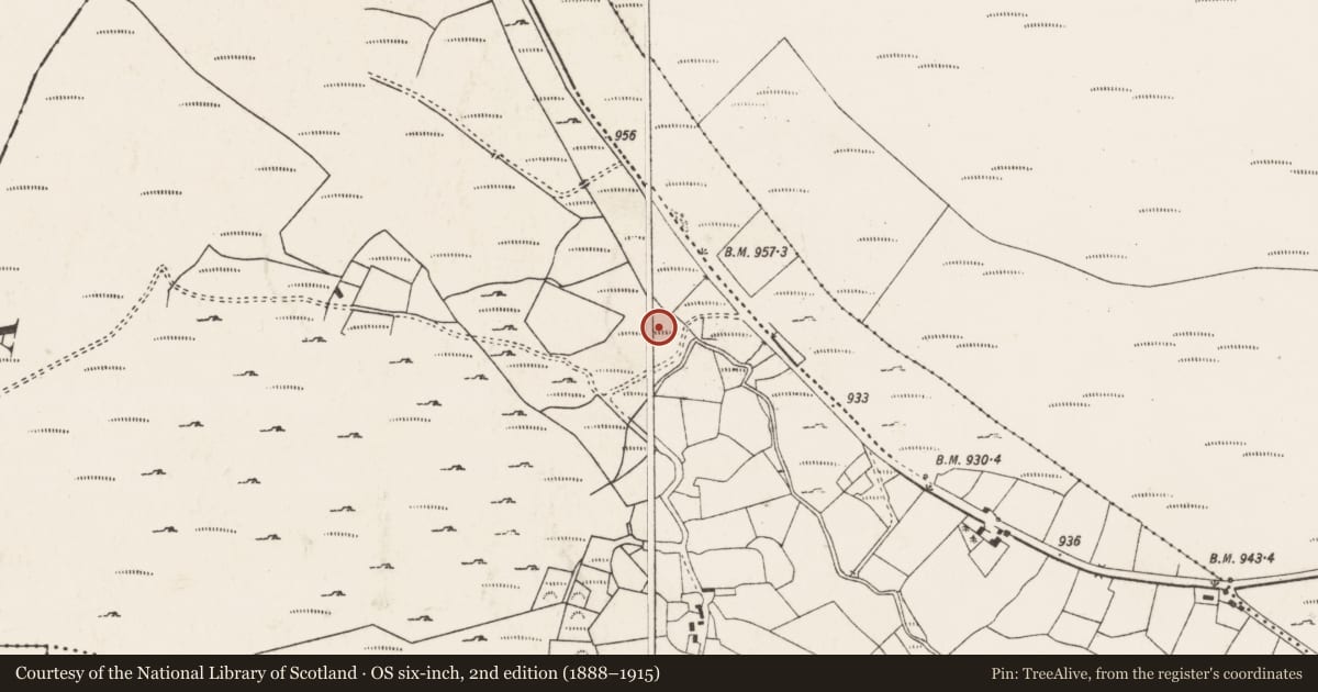 Ordnance Survey six-inch map, 2nd edition (1888–1915) covering the location of Kiln - lime, An Doinín Álainn, County Cork, with a pin at the register's coordinates