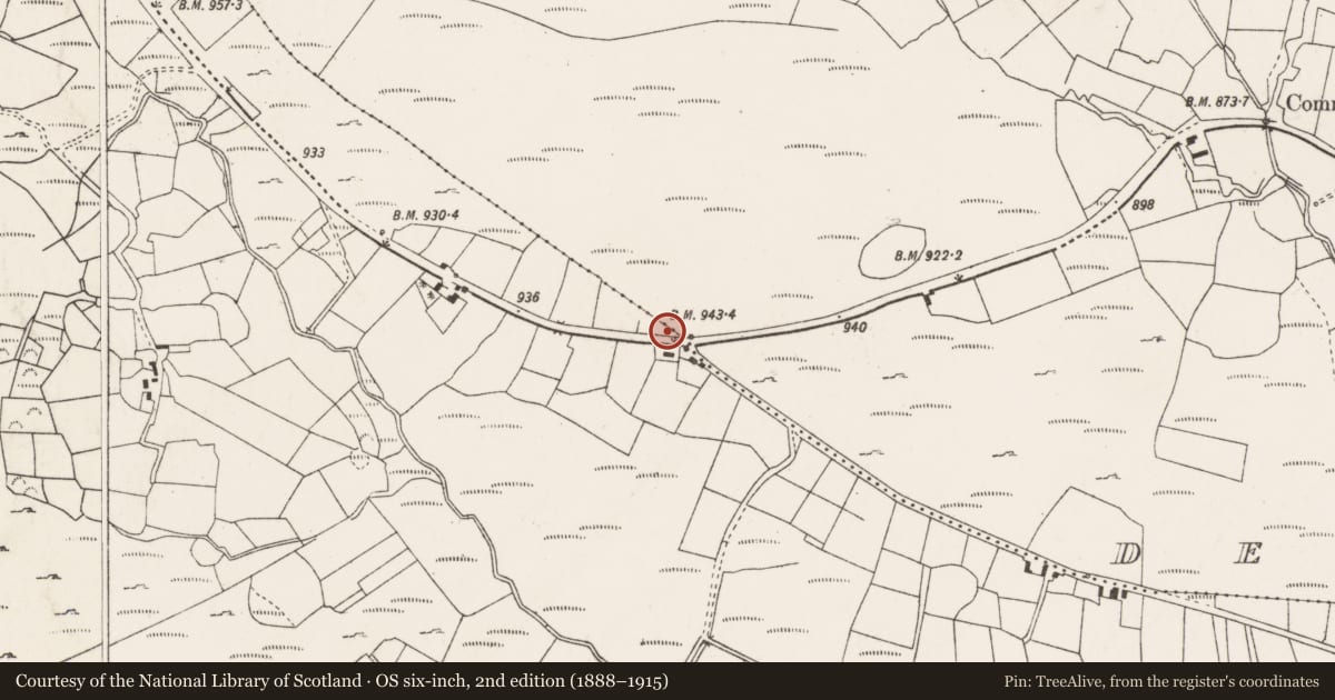Ordnance Survey six-inch map, 2nd edition (1888–1915) covering the location of Kiln - lime, An Doinín Álainn, County Cork, with a pin at the register's coordinates
