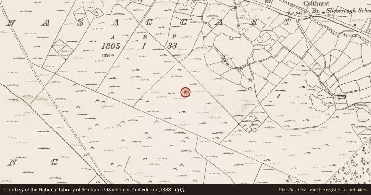 Ordnance Survey six-inch map, 2nd edition (1888–1915) covering the location of Ringfort - rath, Doire Na Sagart, County Cork, with a pin at the register's coordinates