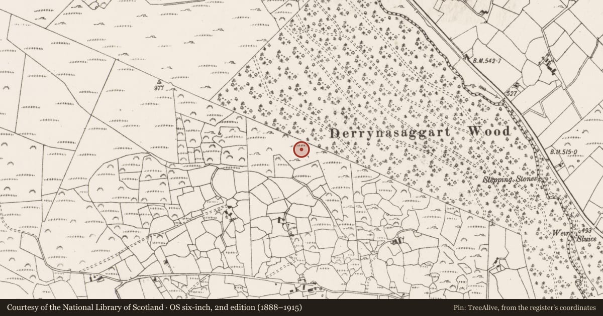 Ordnance Survey six-inch map, 2nd edition (1888–1915) covering the location of Stone row, Doire Na Sagart, County Cork, with a pin at the register's coordinates