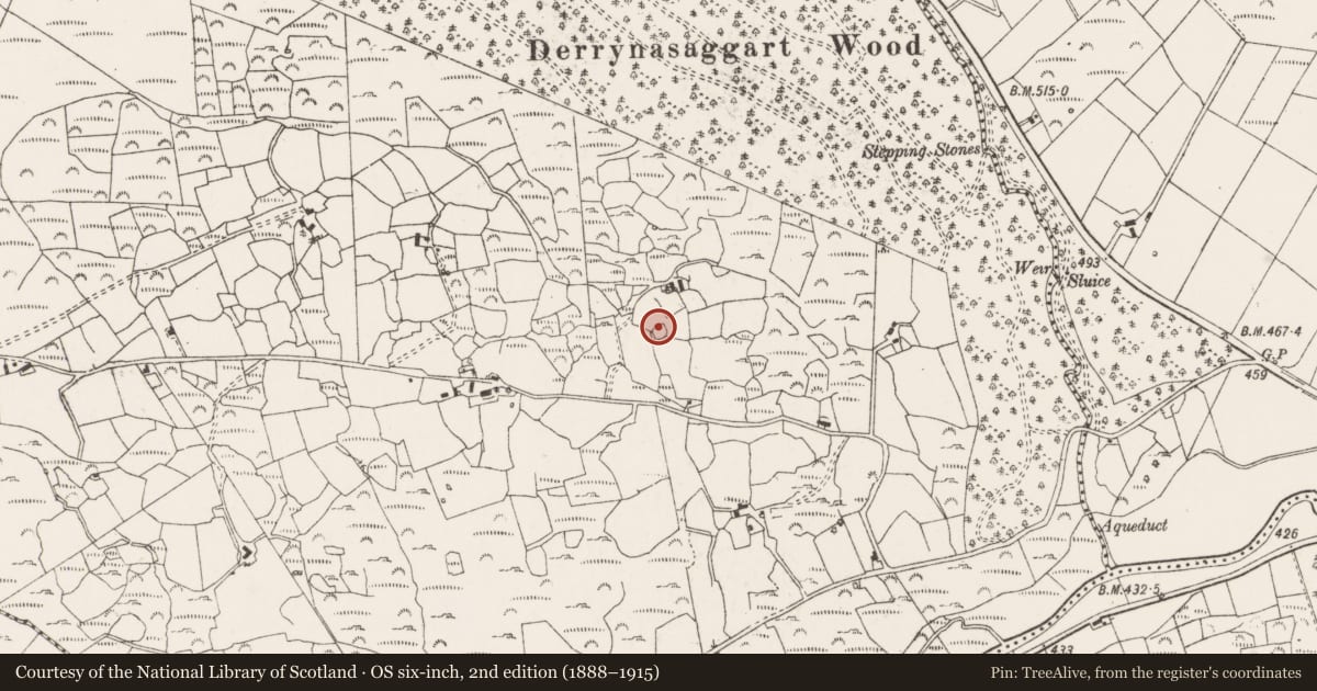 Ordnance Survey six-inch map, 2nd edition (1888–1915) covering the location of Ringfort - cashel, Doire Na Sagart, County Cork, with a pin at the register's coordinates