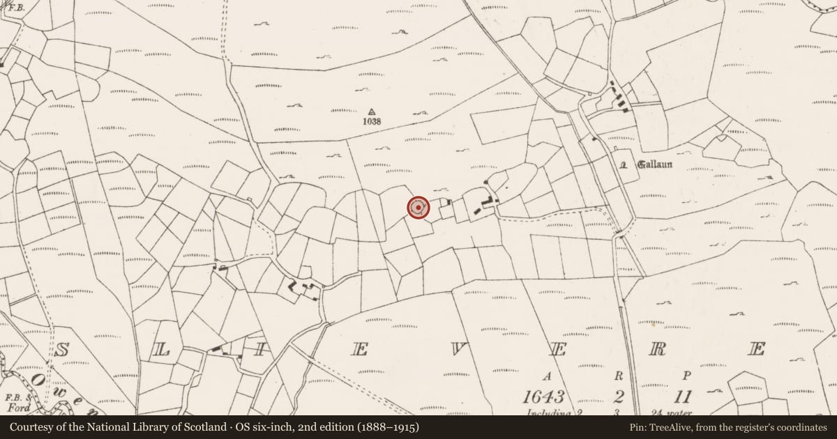 Ordnance Survey six-inch map, 2nd edition (1888–1915) covering the location of Ringfort - cashel, An Sliabh Riabhach, County Cork, with a pin at the register's coordinates