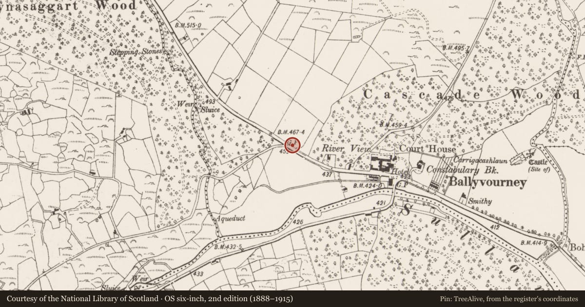 Ordnance Survey six-inch map, 2nd edition (1888–1915) covering the location of Architectural fragment, An Sliabh Riabhach, County Cork, with a pin at the register's coordinates