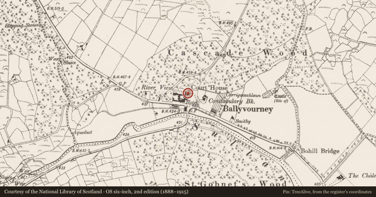 Ordnance Survey six-inch map, 2nd edition (1888–1915) covering the location of Designed landscape - belvedere, An Sliabh Riabhach, County Cork, with a pin at the register's coordinates