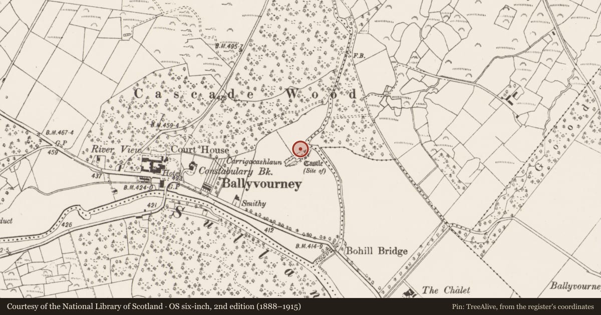Ordnance Survey six-inch map, 2nd edition (1888–1915) covering the location of Castle - unclassified, An Sliabh Riabhach, County Cork, with a pin at the register's coordinates