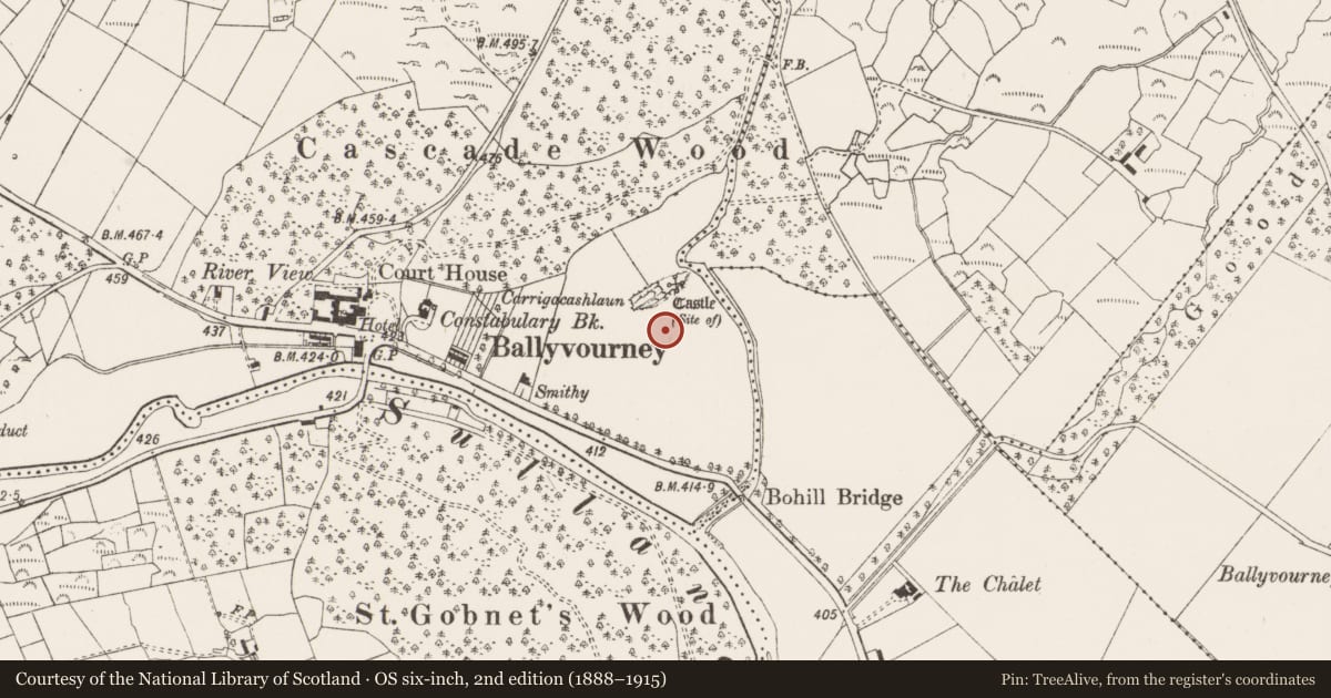 Ordnance Survey six-inch map, 2nd edition (1888–1915) covering the location of Standing stone, An Sliabh Riabhach, County Cork, with a pin at the register's coordinates