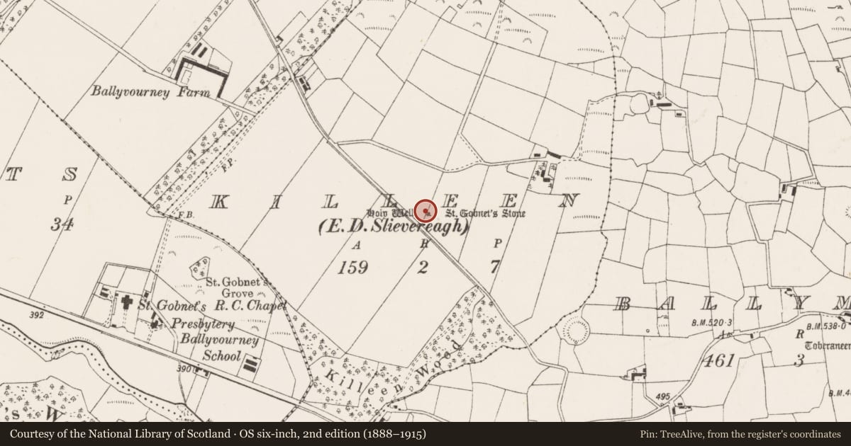 Ordnance Survey six-inch map, 2nd edition (1888–1915) covering the location of Ritual site - holy well, Killeen (Muskerry West By., Ballvourney Par.), County Cork, with a pin at the register's coordinates