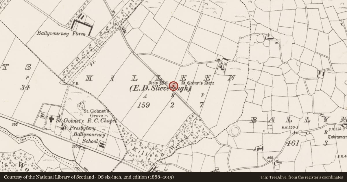 Ordnance Survey six-inch map, 2nd edition (1888–1915) covering the location of Cross-slab (present location), Killeen (Muskerry West By., Ballvourney Par.), County Cork, with a pin at the register's coordinates