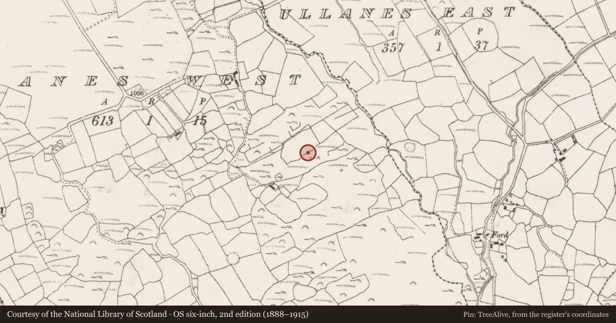 Ordnance Survey six-inch map, 2nd edition (1888–1915) covering the location of Standing stone, Na Huláin Thiar, County Cork, with a pin at the register's coordinates