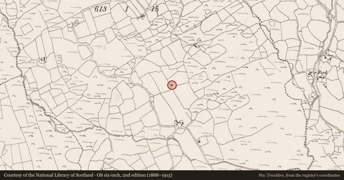Ordnance Survey six-inch map, 2nd edition (1888–1915) covering the location of Ringfort - rath, Na Huláin Thiar, County Cork, with a pin at the register's coordinates