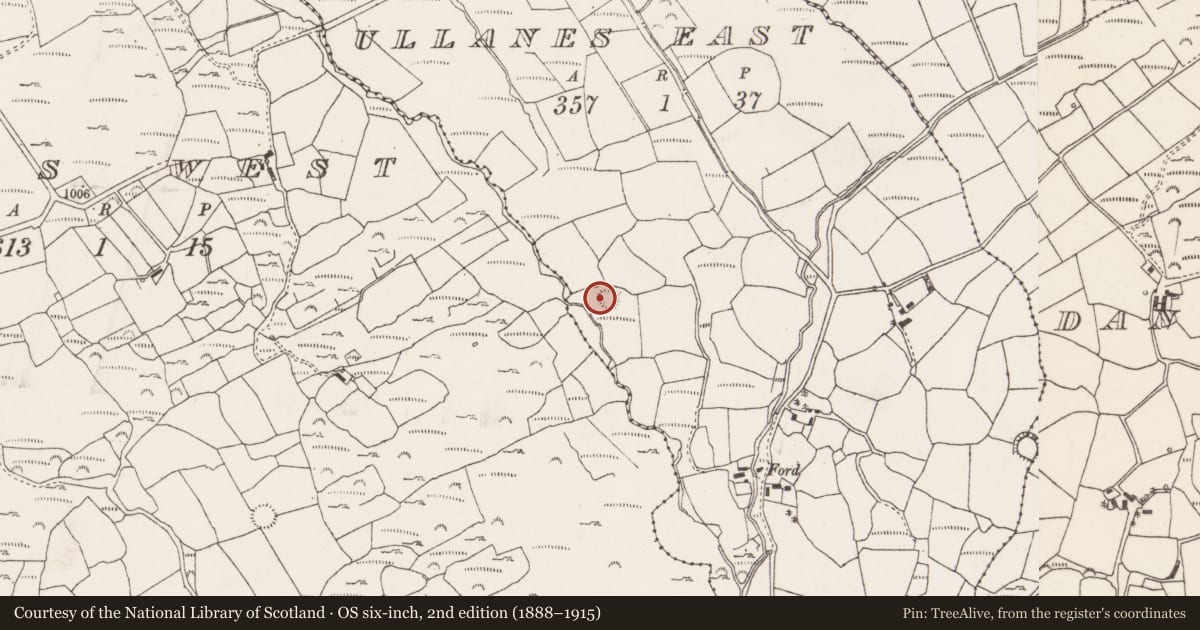 Ordnance Survey six-inch map, 2nd edition (1888–1915) covering the location of Ringfort - rath, Na Huláin Thoir, County Cork, with a pin at the register's coordinates