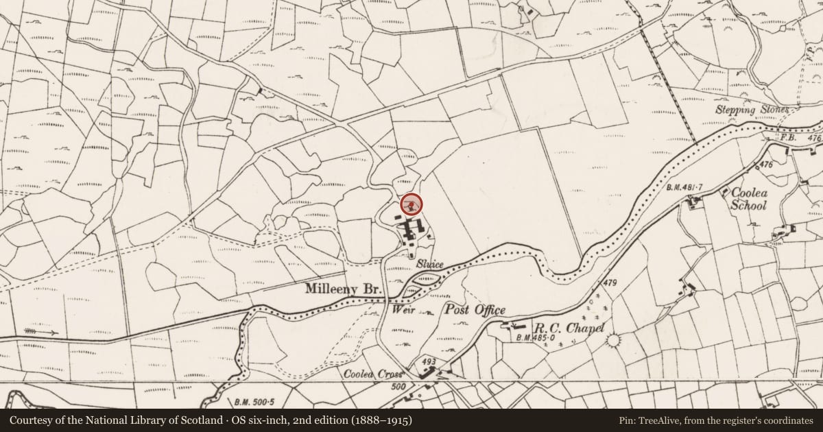 Ordnance Survey six-inch map, 2nd edition (1888–1915) covering the location of Kiln - lime, Na Millíní, County Cork, with a pin at the register's coordinates