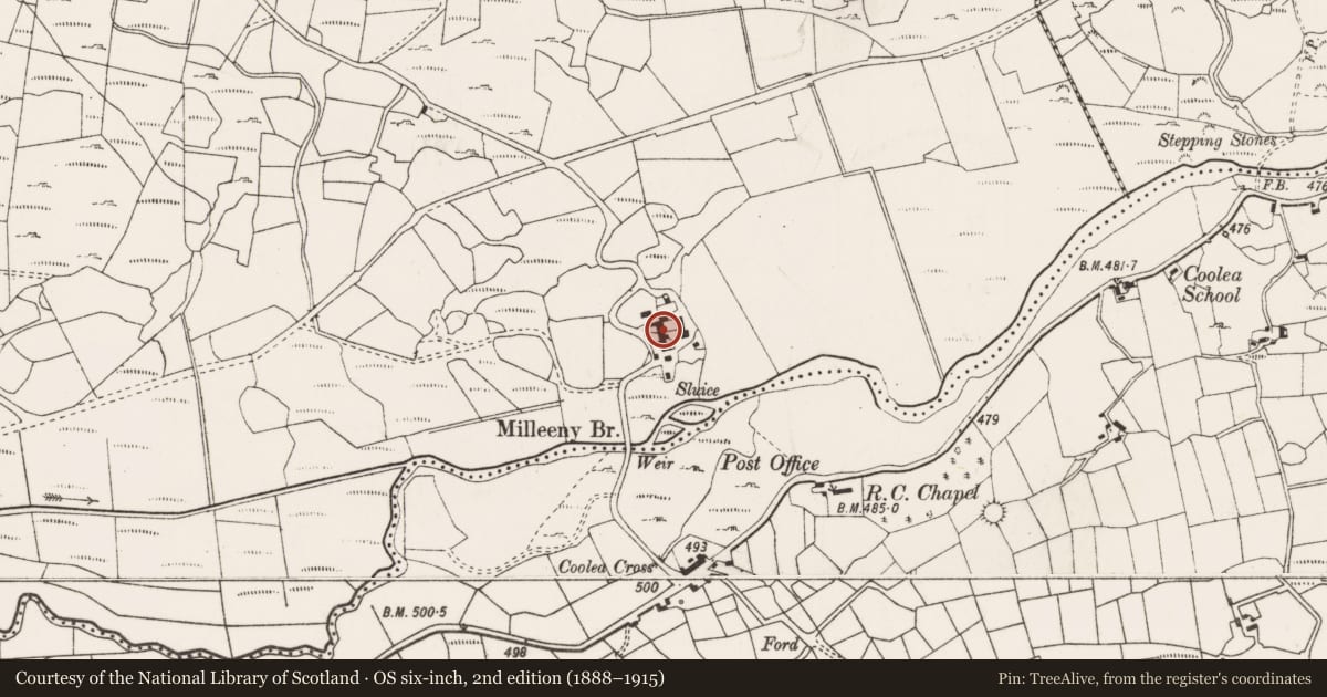 Ordnance Survey six-inch map, 2nd edition (1888–1915) covering the location of Standing stone - pair, Na Millíní, County Cork, with a pin at the register's coordinates