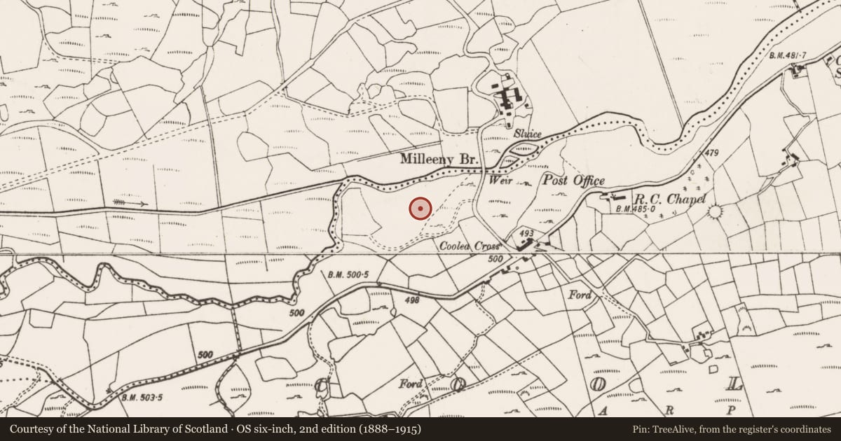 Ordnance Survey six-inch map, 2nd edition (1888–1915) covering the location of Megalithic tomb - unclassified, Cúil Aodha, County Cork, with a pin at the register's coordinates
