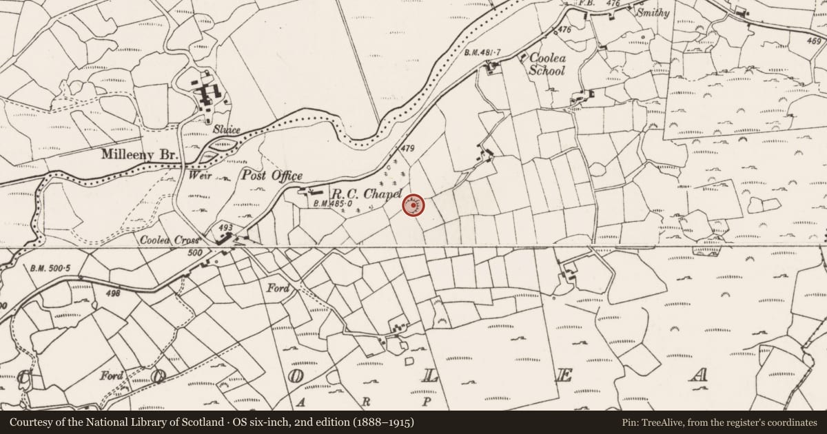 Ordnance Survey six-inch map, 2nd edition (1888–1915) covering the location of Ringfort - rath, Cúil Aodha, County Cork, with a pin at the register's coordinates