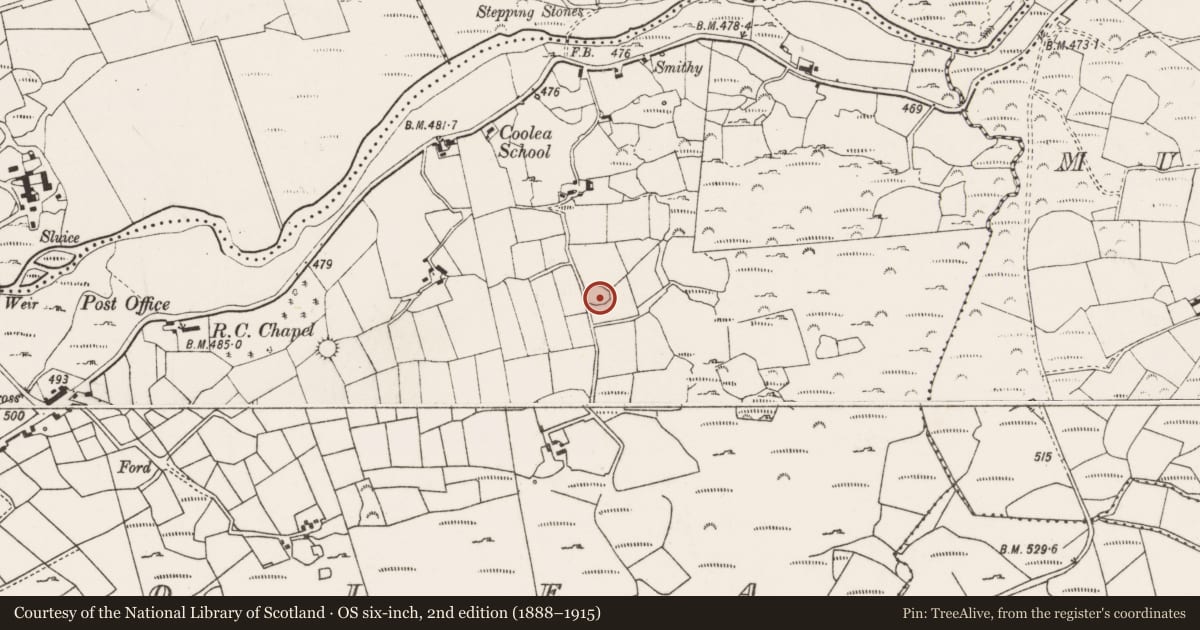 Ordnance Survey six-inch map, 2nd edition (1888–1915) covering the location of Ringfort - cashel, Cúil Aodha, County Cork, with a pin at the register's coordinates