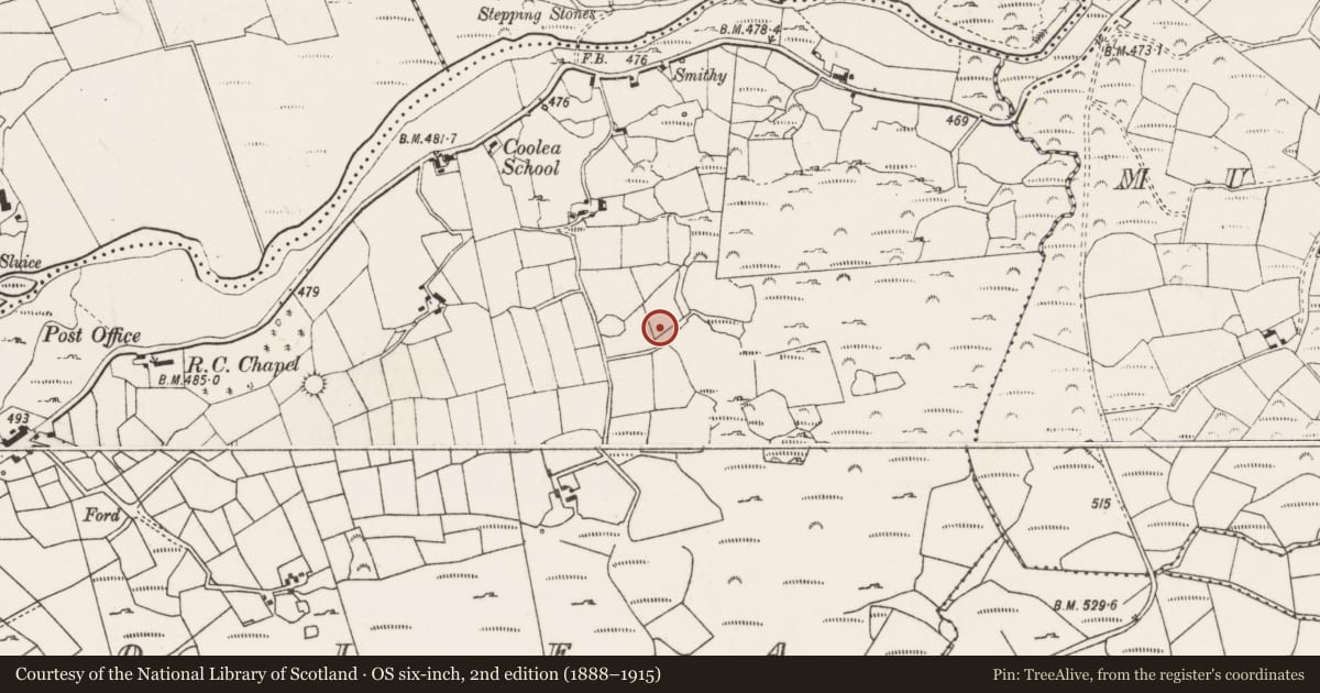 Ordnance Survey six-inch map, 2nd edition (1888–1915) covering the location of Standing stone, Cúil Aodha, County Cork, with a pin at the register's coordinates