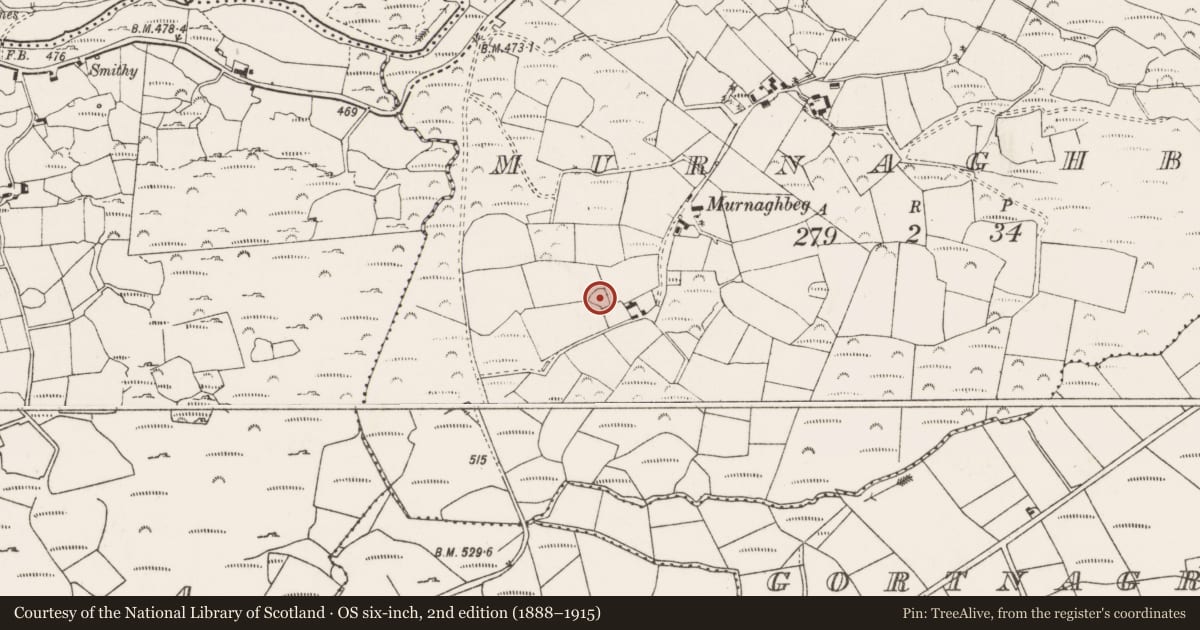Ordnance Survey six-inch map, 2nd edition (1888–1915) covering the location of Ringfort - rath, An Muirneach Beag, County Cork, with a pin at the register's coordinates