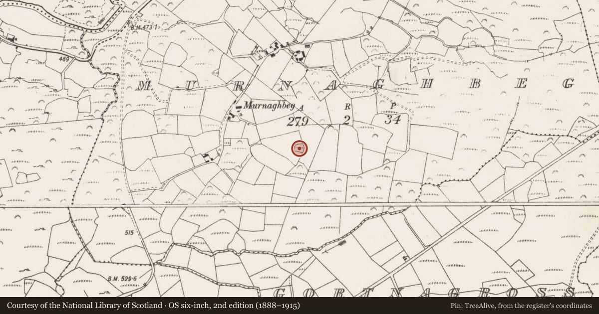 Ordnance Survey six-inch map, 2nd edition (1888–1915) covering the location of Ringfort - rath, An Muirneach Beag, County Cork, with a pin at the register's coordinates