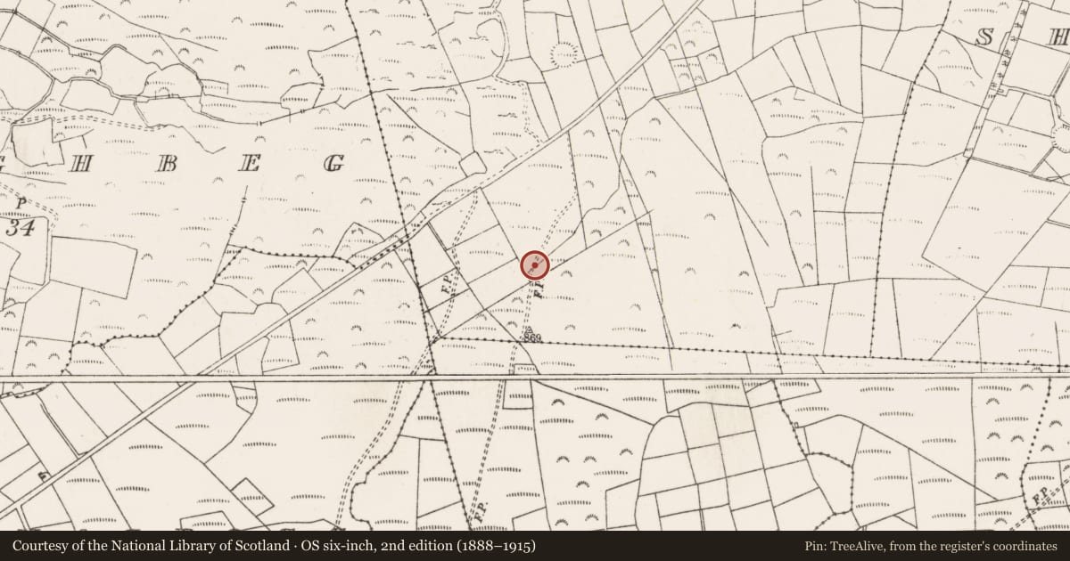 Ordnance Survey six-inch map, 2nd edition (1888–1915) covering the location of Stone circle - five-stone, Gort Na Tiobratan, County Cork, with a pin at the register's coordinates