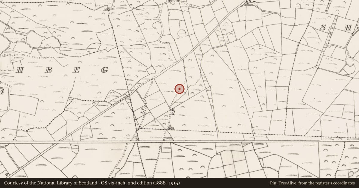 Ordnance Survey six-inch map, 2nd edition (1888–1915) covering the location of Anomalous stone group, Gort Na Tiobratan, County Cork, with a pin at the register's coordinates