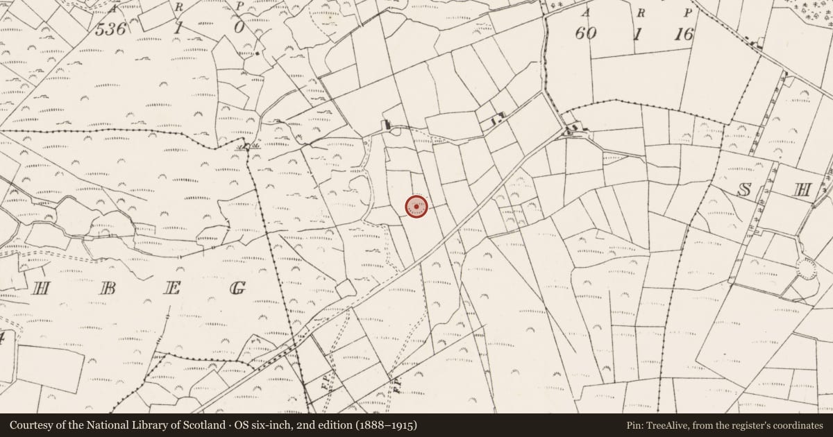 Ordnance Survey six-inch map, 2nd edition (1888–1915) covering the location of Ringfort - rath, Gort Na Tiobratan, County Cork, with a pin at the register's coordinates