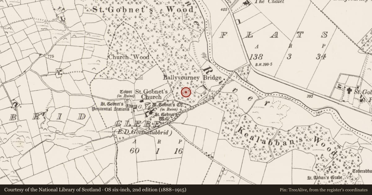 Ordnance Survey six-inch map, 2nd edition (1888–1915) covering the location of Fulacht fia, Gort Na Tiobratan, County Cork, with a pin at the register's coordinates
