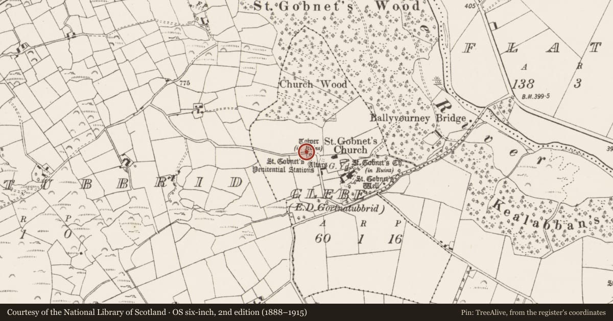 Ordnance Survey six-inch map, 2nd edition (1888–1915) covering the location of Hut site, Glebe (Muskerry West By., Ballyvourney Par.), County Cork, with a pin at the register's coordinates