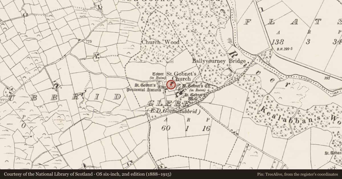Ordnance Survey six-inch map, 2nd edition (1888–1915) covering the location of Graveyard, Glebe (Muskerry West By., Ballyvourney Par.), County Cork, with a pin at the register's coordinates