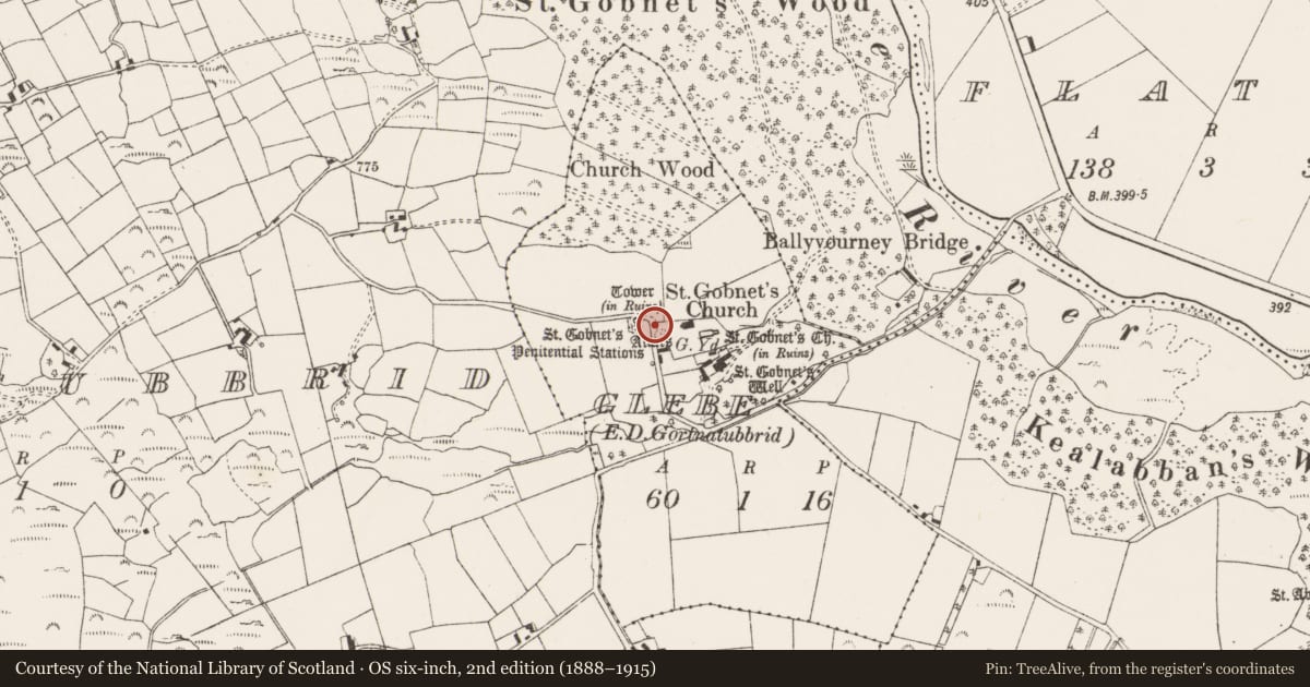 Ordnance Survey six-inch map, 2nd edition (1888–1915) covering the location of Penitential station, Glebe (Muskerry West By., Ballyvourney Par.), County Cork, with a pin at the register's coordinates
