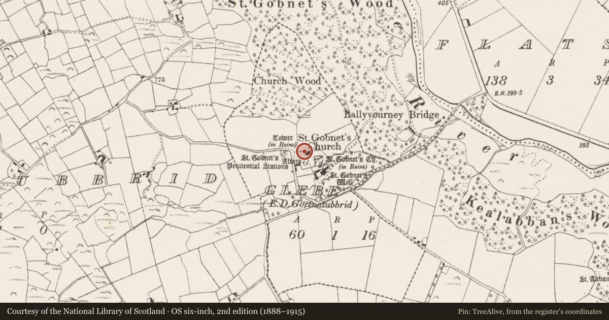 Ordnance Survey six-inch map, 2nd edition (1888–1915) covering the location of Church, Glebe (Muskerry West By., Ballyvourney Par.), County Cork, with a pin at the register's coordinates