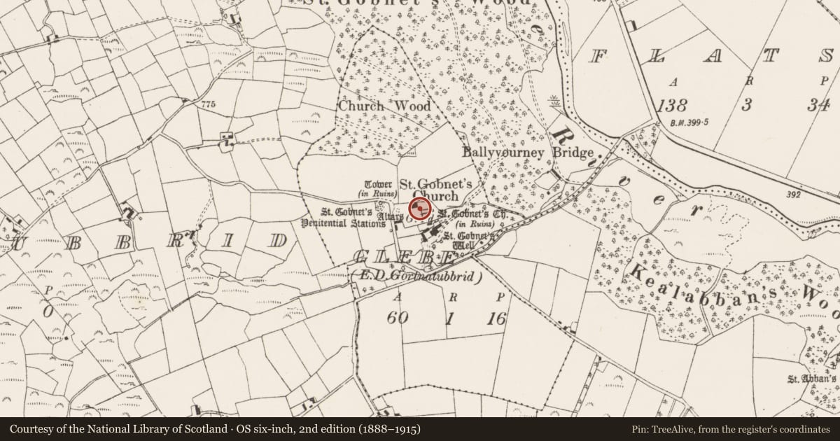 Ordnance Survey six-inch map, 2nd edition (1888–1915) covering the location of Sheela-na-gig, Glebe (Muskerry West By., Ballyvourney Par.), County Cork, with a pin at the register's coordinates