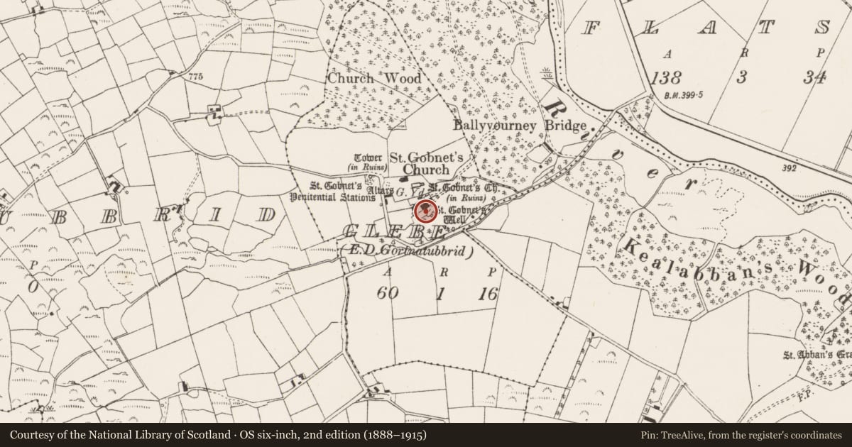 Ordnance Survey six-inch map, 2nd edition (1888–1915) covering the location of Ritual site - holy well, Glebe (Muskerry West By., Ballyvourney Par.), County Cork, with a pin at the register's coordinates