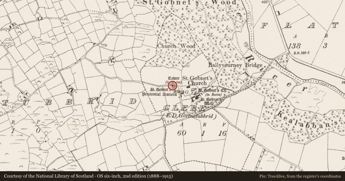 Ordnance Survey six-inch map, 2nd edition (1888–1915) covering the location of Ritual site - holy well, Glebe (Muskerry West By., Ballyvourney Par.), County Cork, with a pin at the register's coordinates