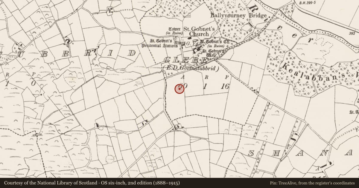 Ordnance Survey six-inch map, 2nd edition (1888–1915) covering the location of Structure, Glebe (Muskerry West By., Ballyvourney Par.), County Cork, with a pin at the register's coordinates