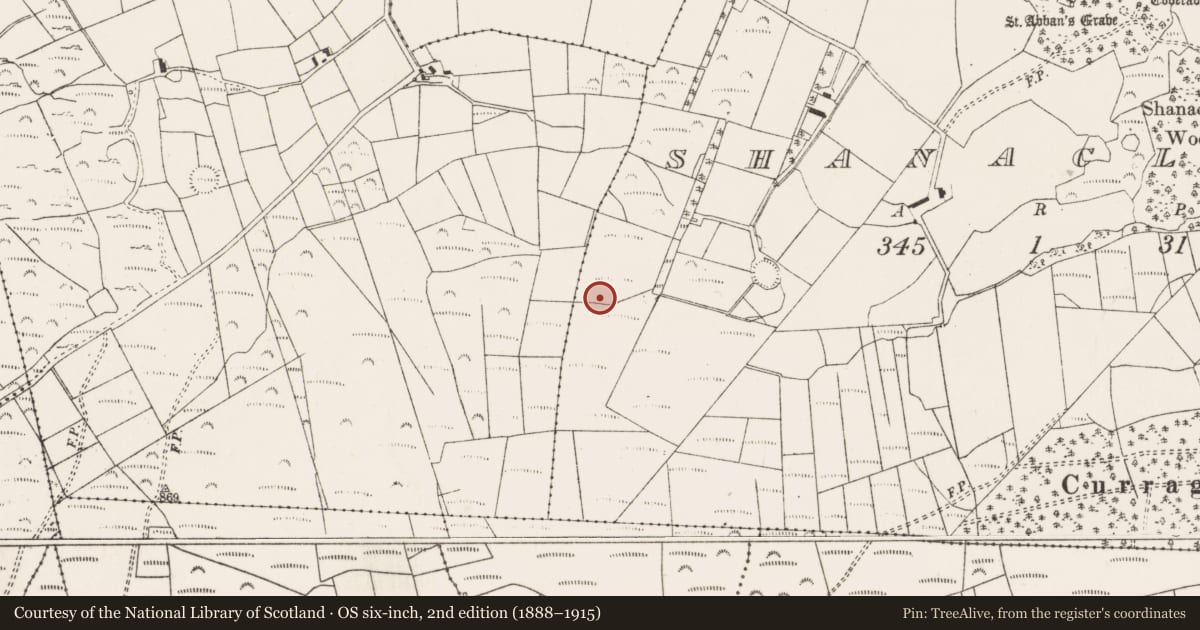 Ordnance Survey six-inch map, 2nd edition (1888–1915) covering the location of Fulacht fia, An Tseanchluain, County Cork, with a pin at the register's coordinates