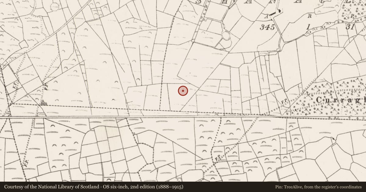 Ordnance Survey six-inch map, 2nd edition (1888–1915) covering the location of Fulacht fia, An Tseanchluain, County Cork, with a pin at the register's coordinates