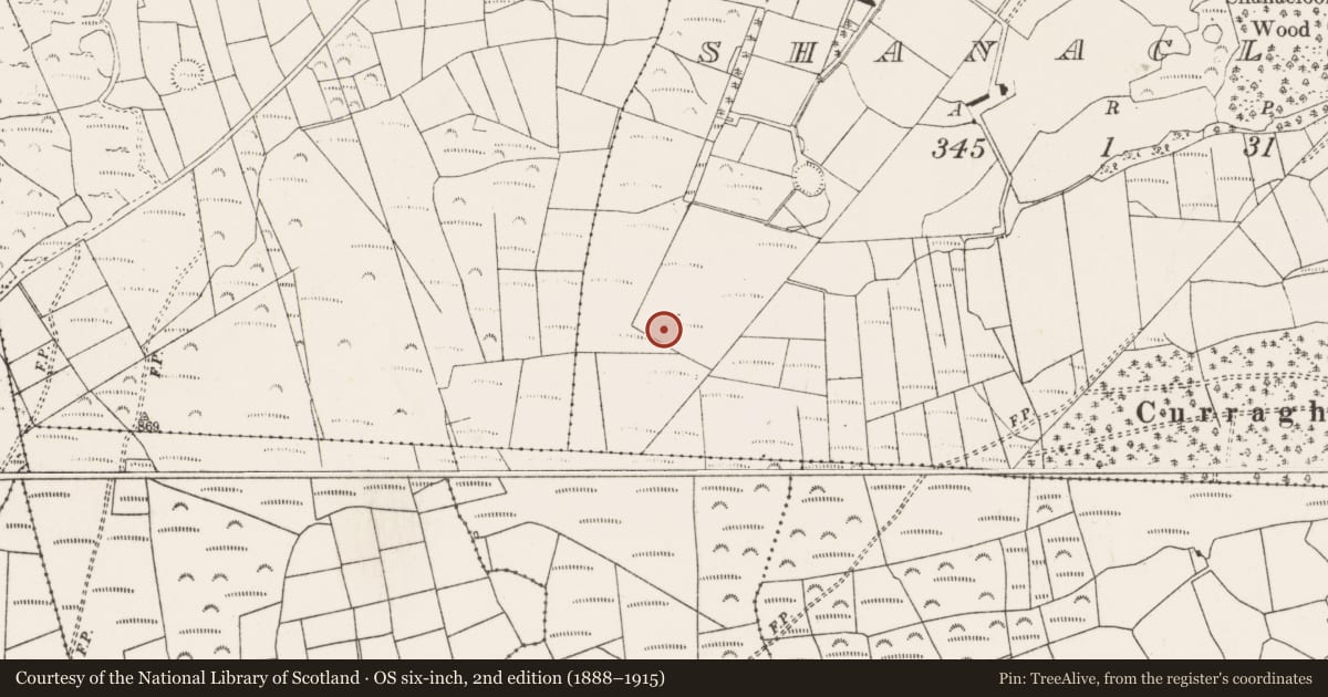 Ordnance Survey six-inch map, 2nd edition (1888–1915) covering the location of Fulacht fia, An Tseanchluain, County Cork, with a pin at the register's coordinates